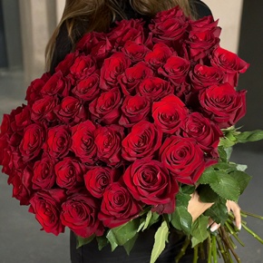 Букет 51 роза Эквадор Эксплорер (60 см) в Видном
