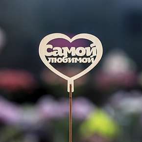 Топпер Самой Любимой в Видном
