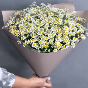 Букет из 17 ромашек танацетум в Видном