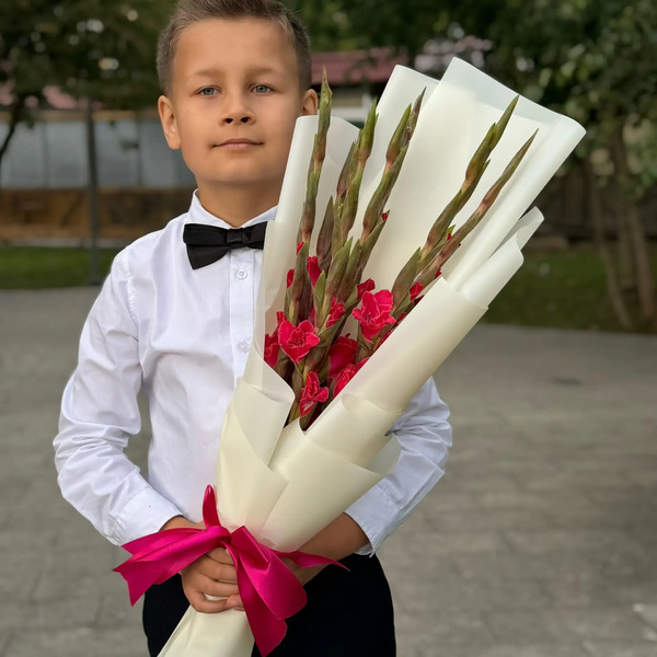 Букет на 1 сентября из 7 малиновых гладиолусов в Видном