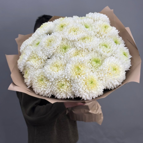 Букет из 27 хризантем Магнум в Видном
