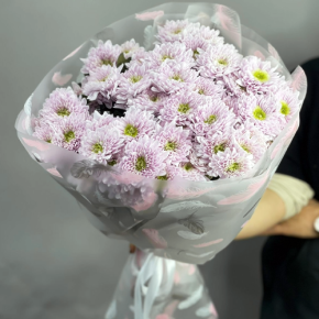 Букет "Нежный комплимент" из 9 кустовых хризантем в Видном