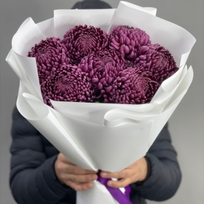 Букет "Винная легенда" из 7 хризантем Бигоуди в Видном