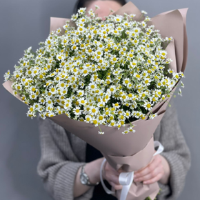 Букет из 17 полевых ромашек в Видном