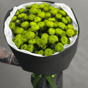 Стильный букет "Лайм" из 15 хризантем сантини в Видном