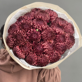 Букет 21 шоколадной хризантемы Бигоуди в Видном