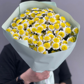 Букет "Моё солнышко" из 17 хризантем сантини  в Видном