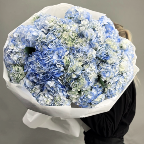 Букет из 23 синих гортензий в Видном