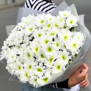 Букет "Лаймовый" из 15 кустовых хризантем в Видном
