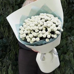 Букет из 25 хризантем Ньютон в Видном