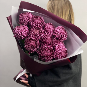 Букет "Изобилие" из 11 винных хризантем Бигоуди в Видном