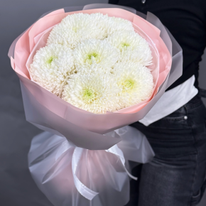 Нежный букет из 7 хризантем Магнум в Видном