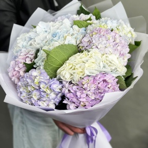 Букет из 9 Голландских гортензий микс в Видном