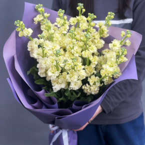 Букет из 15 лимонных маттиол в Видном