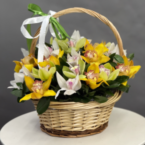 Композиция в корзине из 25 орхидей микс в Видном