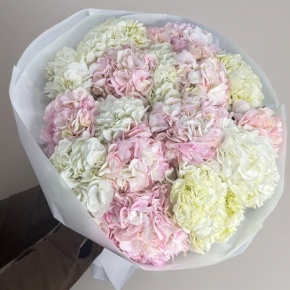 Букет из 17 нежных гортензий в Видном