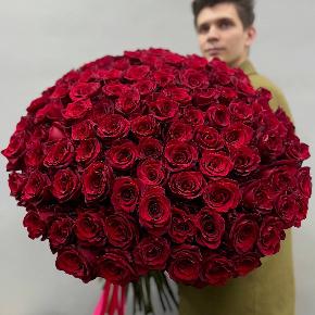 Букет из 101 красной Эквадорской розы Эксплорер (70 см) в Видном
