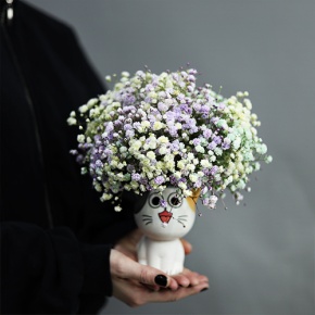 Композиция из гипсофил в керамическом кашпо в Видном