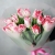 Букет "Фламинго" из 11 пионовидных тюльпанов в Видном Букет "Фламинго" из 11 пионовидных тюльпанов в Видном
