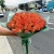Букет из 51 мандариновой розы (40 см) в Видном Букет из 51 мандариновой розы (40 см) в Видном