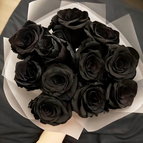 Букет "Черная королева" из 11 черных роз Эквадор (60 см) в Видном