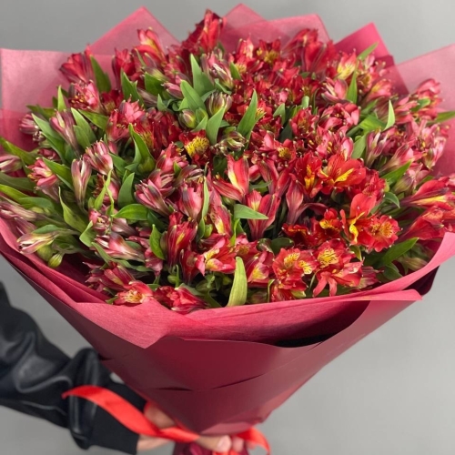 Монобукет из 25 красных альстромерий в Видном