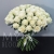 Букет 75 белых роз Эквадор Мондиаль (80 см) в Видном Букет 75 белых роз Эквадор Мондиаль (80 см) в Видном