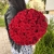 Букет 51 красной розы 50 см в Видном Букет 51 красной розы 50 см в Видном