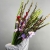 Букет из 25 гладиолусов микс в Видном Букет из 25 гладиолусов микс в Видном