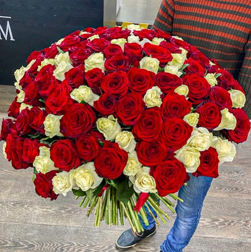Букет 151 роза красный и белый микс (60 см) в Видном