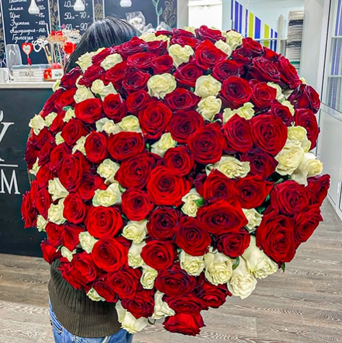 Букет 151 роза красный и белый микс (60 см) в Видном