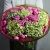 Букет "Мармеладный" из Голландских гортензий и пионовидных кустовых роз в Видном Букет "Мармеладный" из Голландских гортензий и пионовидных кустовых роз в Видном