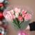 Букет "Фламинго" из 11 пионовидных тюльпанов в Видном Букет "Фламинго" из 11 пионовидных тюльпанов в Видном