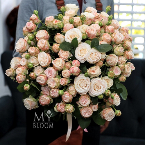 Букет 51 пионовидная роза Бомбастик (60 см) в Видном