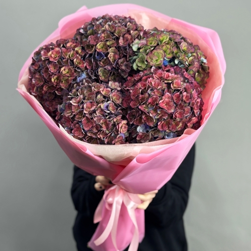 Букет из 5 космических Голландских гортензий в Видном