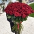 Букет из 101 красной розы (90 см) в Видном Букет из 101 красной розы (90 см) в Видном
