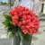 Букет 51 роза коралл (60 см) в Видном
