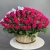 Композиция в корзине из 151 малиновой розы в Видном Композиция в корзине из 151 малиновой розы в Видном