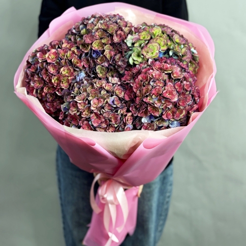 Букет из 5 космических Голландских гортензий в Видном