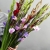 Букет из 25 гладиолусов микс в Видном Букет из 25 гладиолусов микс в Видном