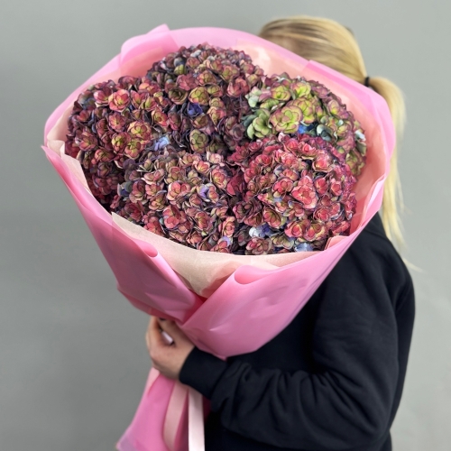 Букет из 5 космических Голландских гортензий в Видном